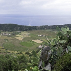 Pantelleria