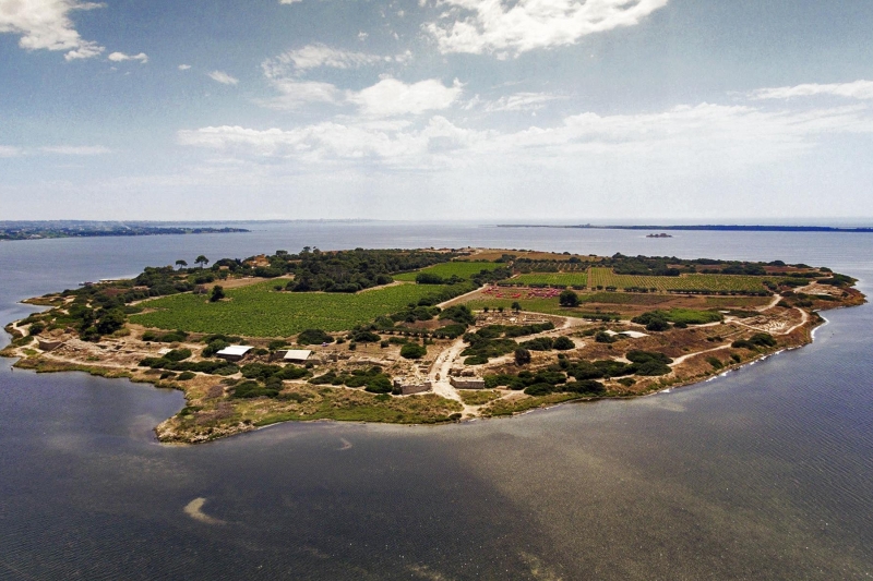 Visita isola di Mothia e Saline