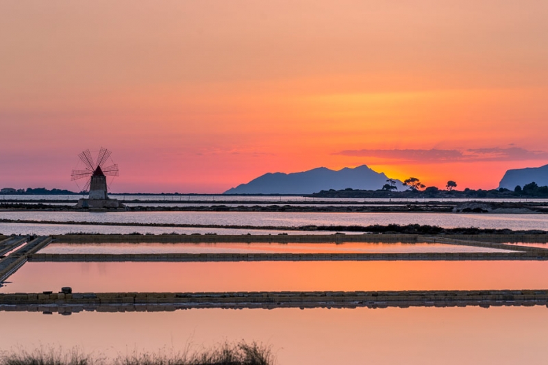 Visita isola di Mothia e Saline