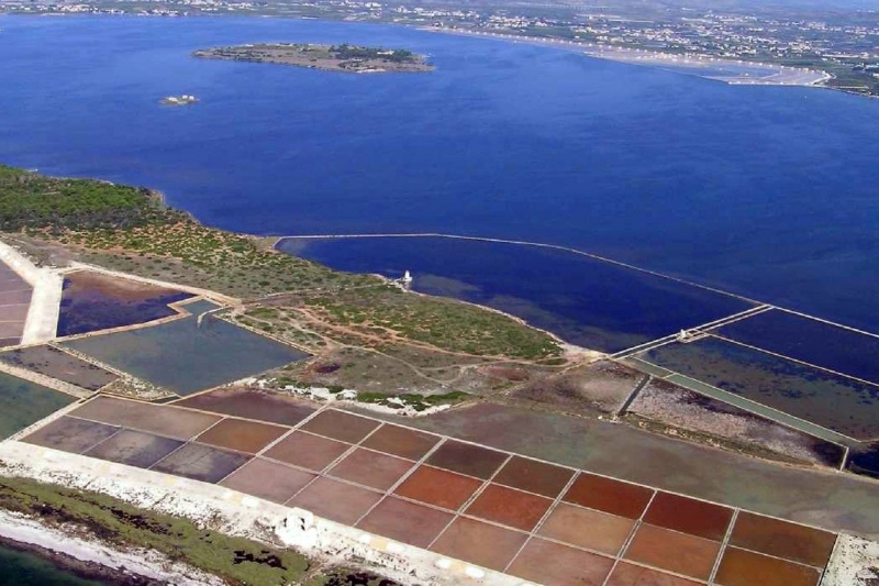 Visita isola di Mothia e Saline